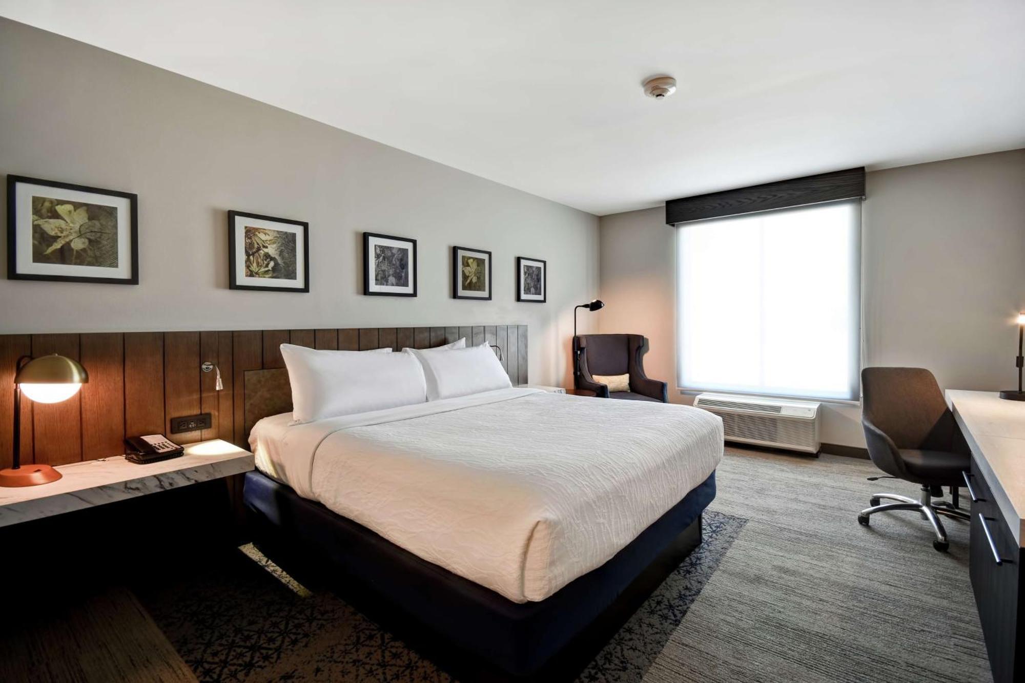 Hilton Garden Inn ג'קסון מראה חיצוני תמונה