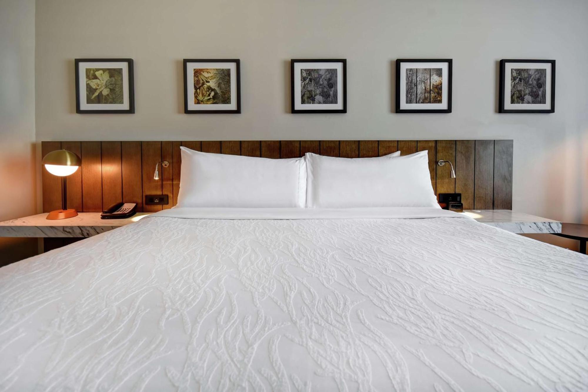 Hilton Garden Inn ג'קסון מראה חיצוני תמונה