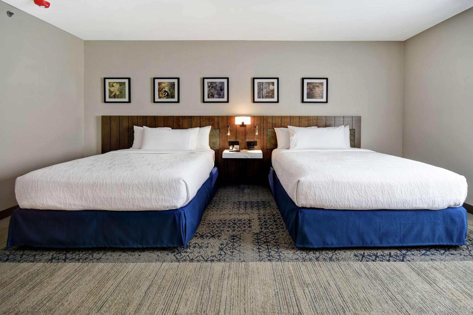 Hilton Garden Inn ג'קסון מראה חיצוני תמונה